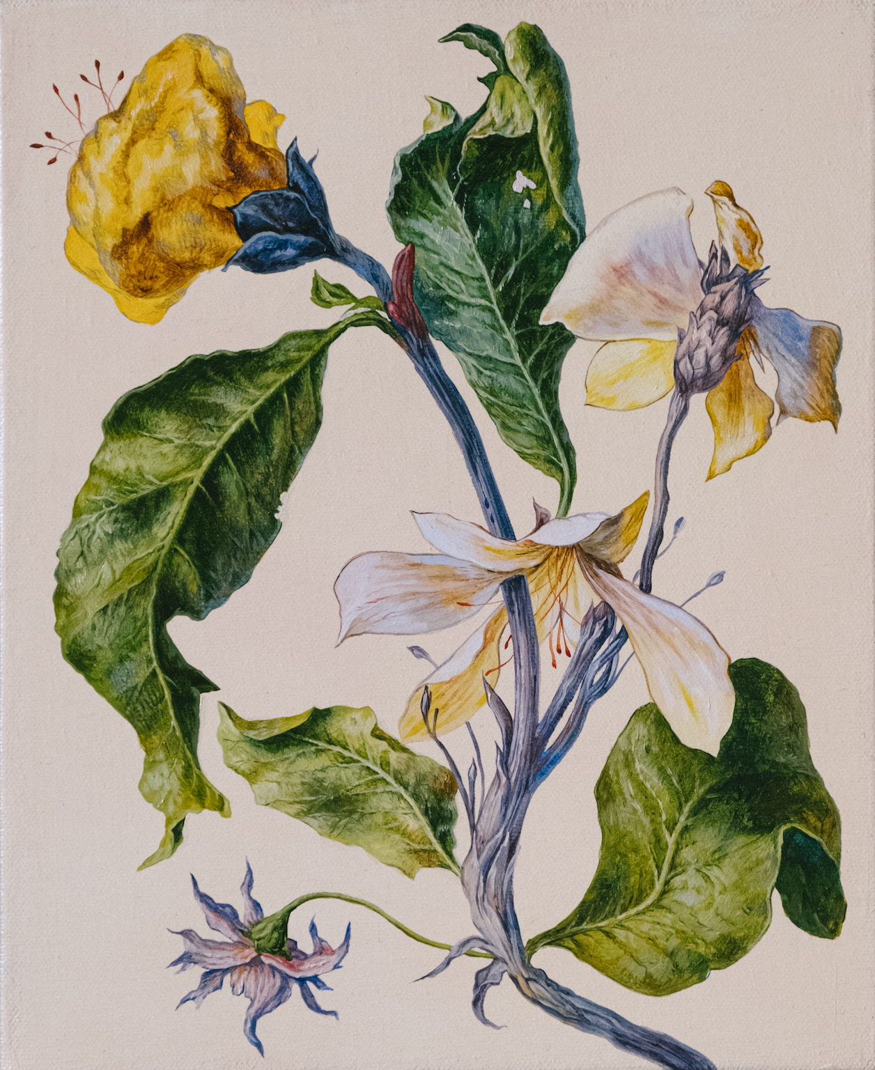Botanical Etude No. 3. ELEN BEZHEN