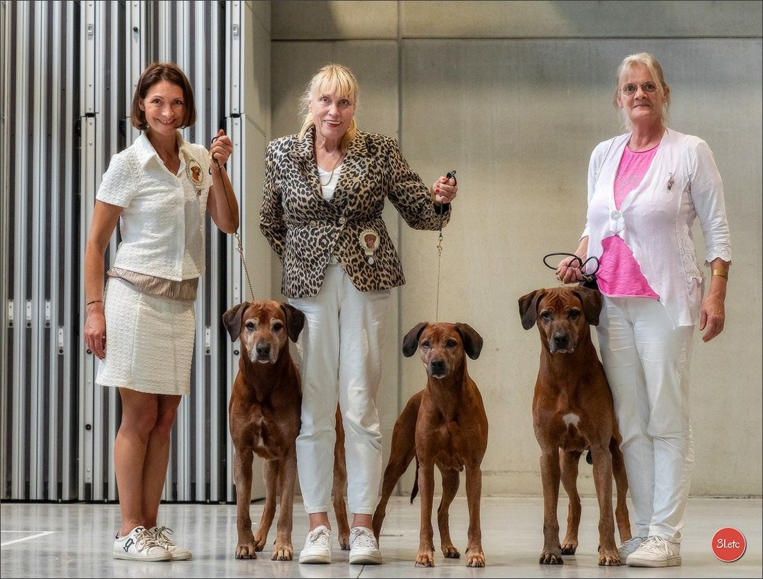 Dog Show Liege 🇧🇪 19-29/07/2025. Photographe à Strasbourg | Portraits, Studio, Enfants, Événements