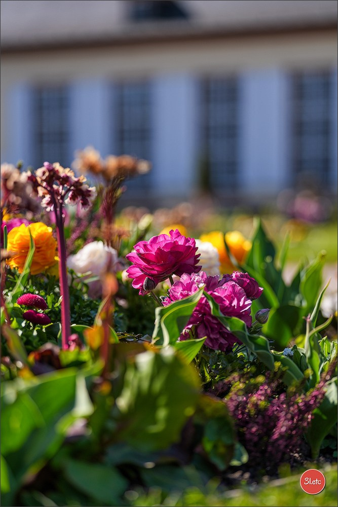 TEST ::: Sony Alpha 7 V (ILCE-7M5) 70-200mm f/2.8 GM II OSS. Photographe à Strasbourg | Portraits, Studio, Enfants, Événements