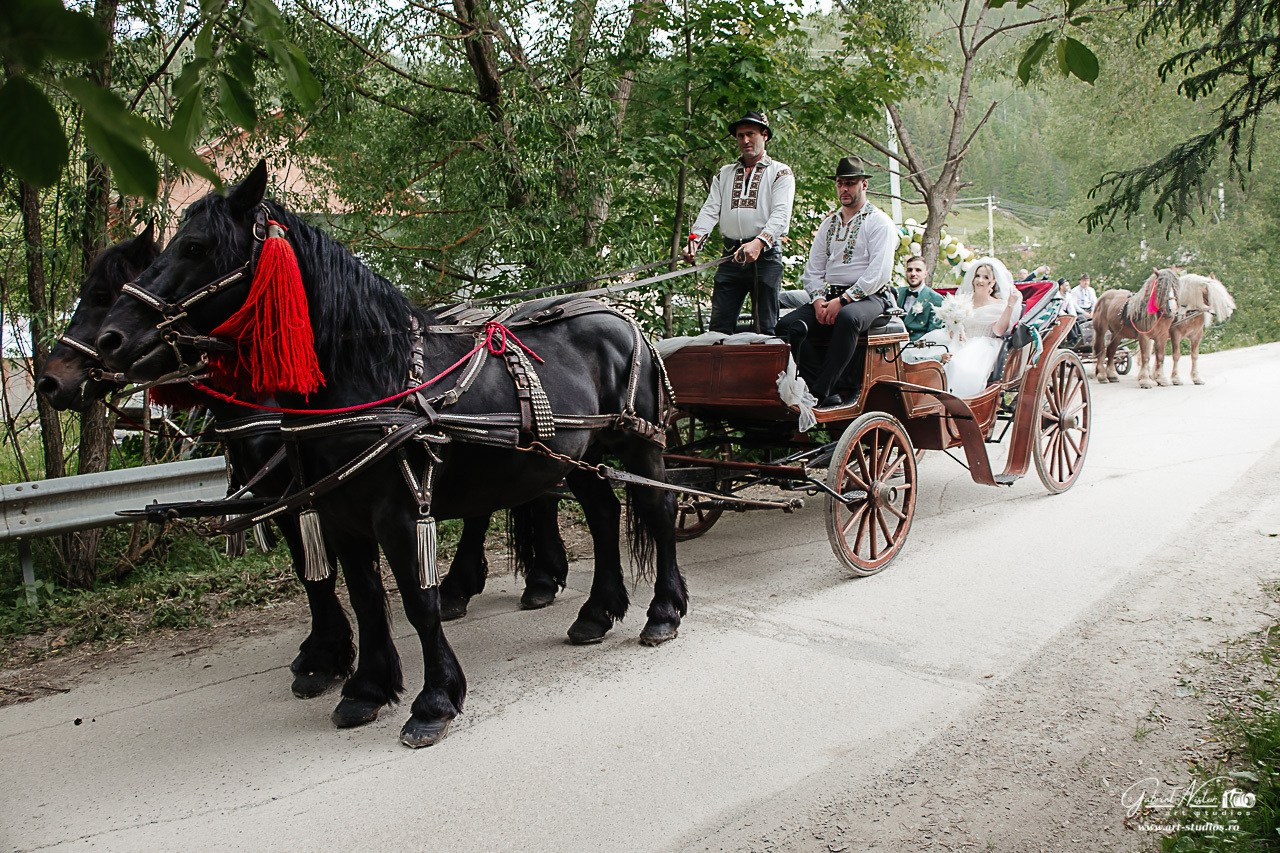 Denisa & Ionuț. Gabriel Nistor Art-Studios - Fotografo / Videografo Iasi