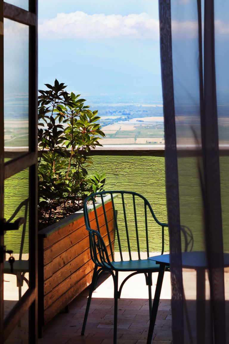 Ampelo. Главная