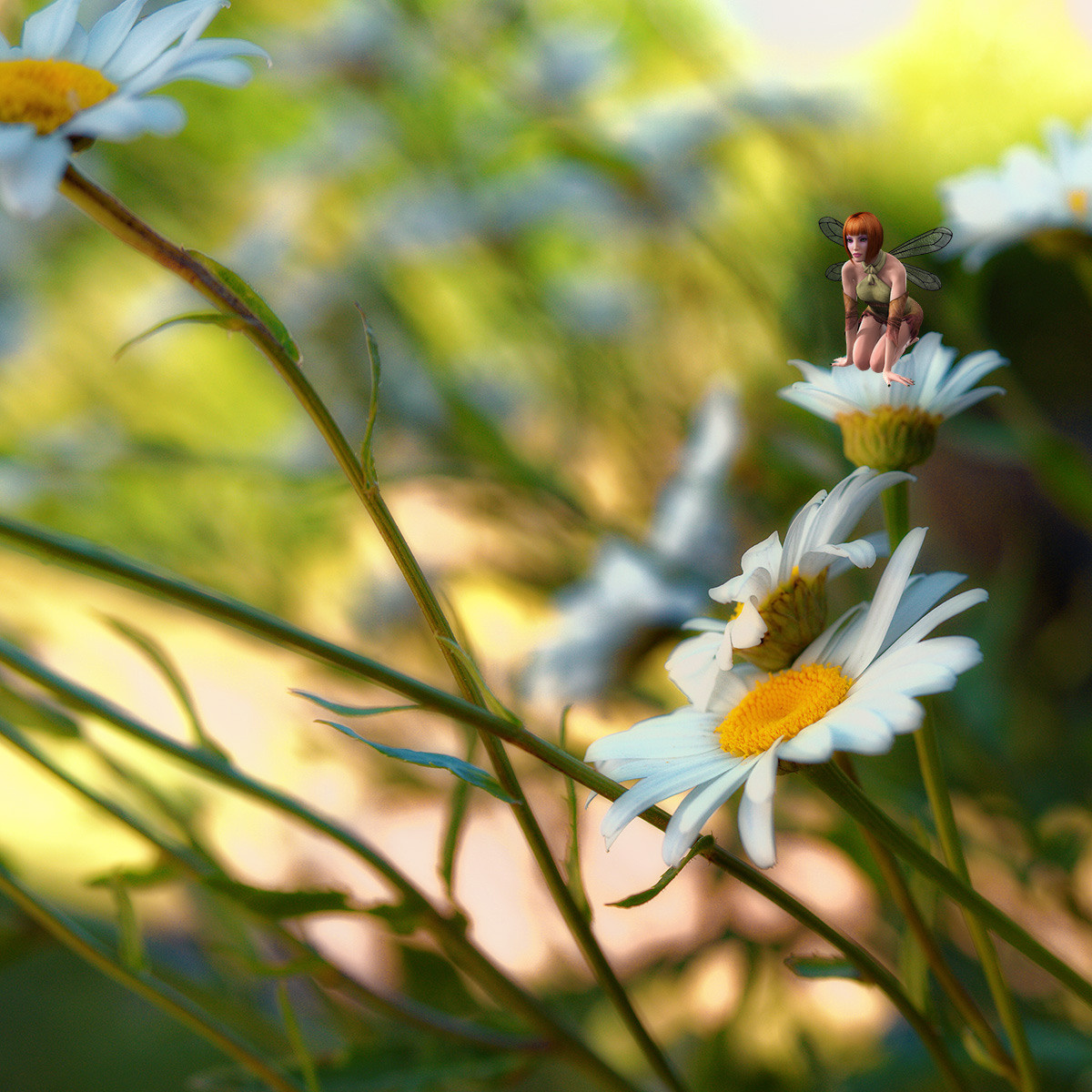 Blumen. LUKIN IGOR Photography