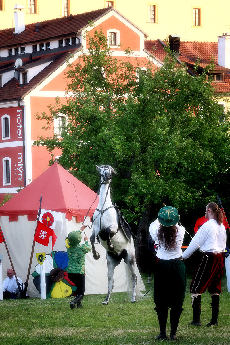 Karneval in Europa. LUKIN IGOR Photography