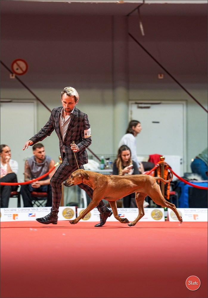 Expo canine 🇫🇷 Martigues 18-19/04/2026