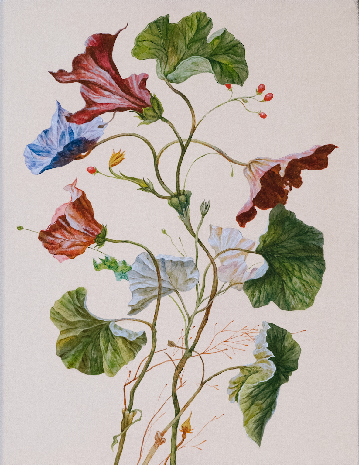 Botanical Etude No. 5. ELEN BEZHEN