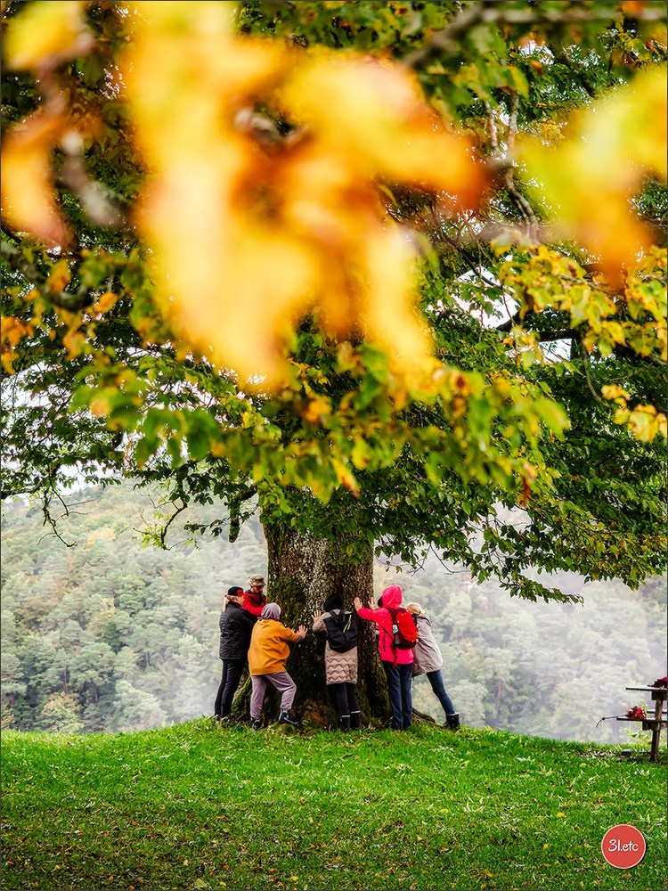 Ретрит в Эльзасе с Марией Ланг. Photographe à Strasbourg | Portraits, Studio, Enfants, Événements