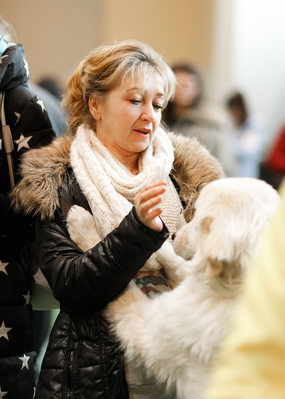 Grodno dog show. Kaja | fotograf we Wrocławiu | ludzie i psy