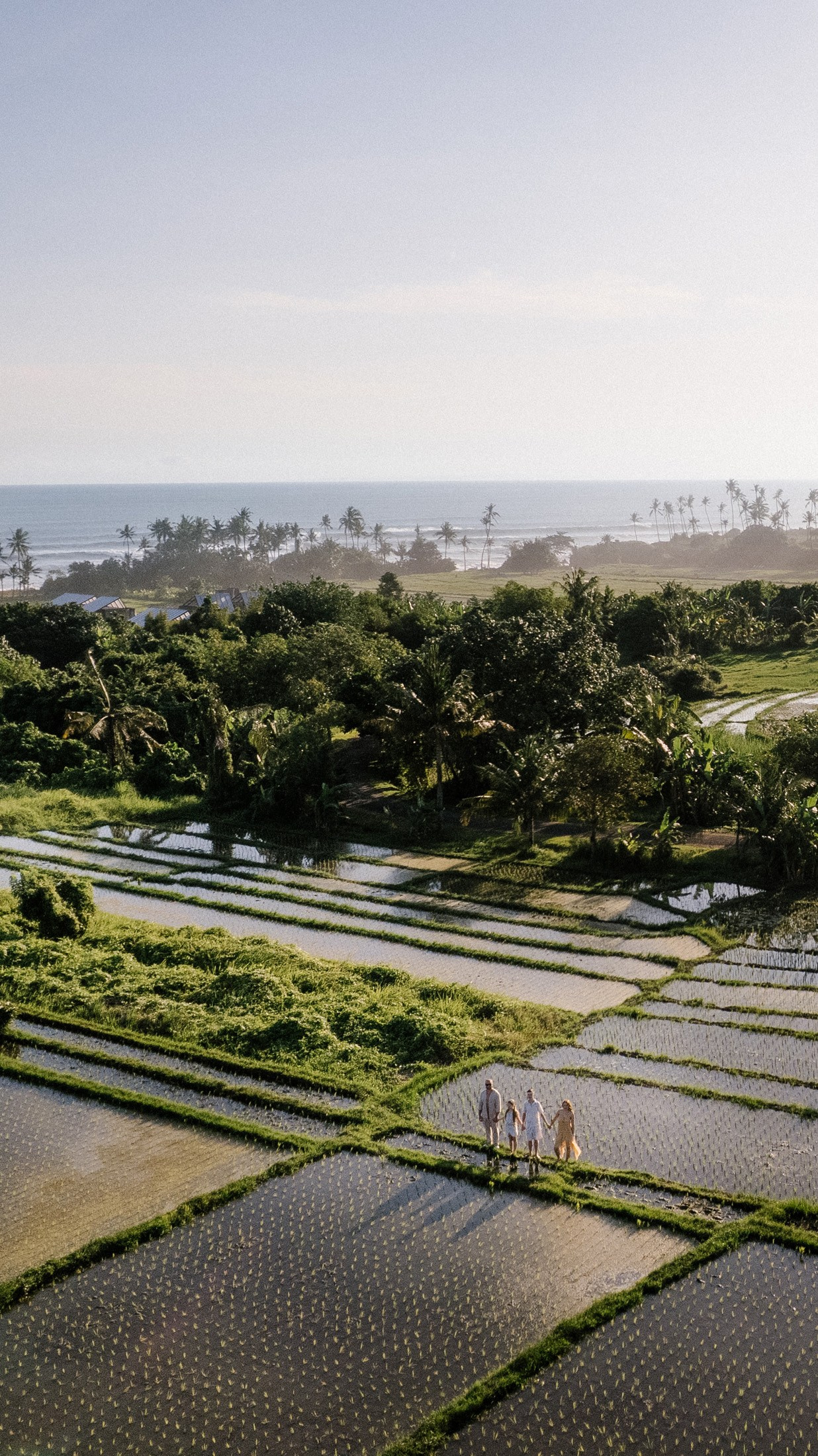 Family wedding. Getitfeel — Aesthetic Photography and Videography