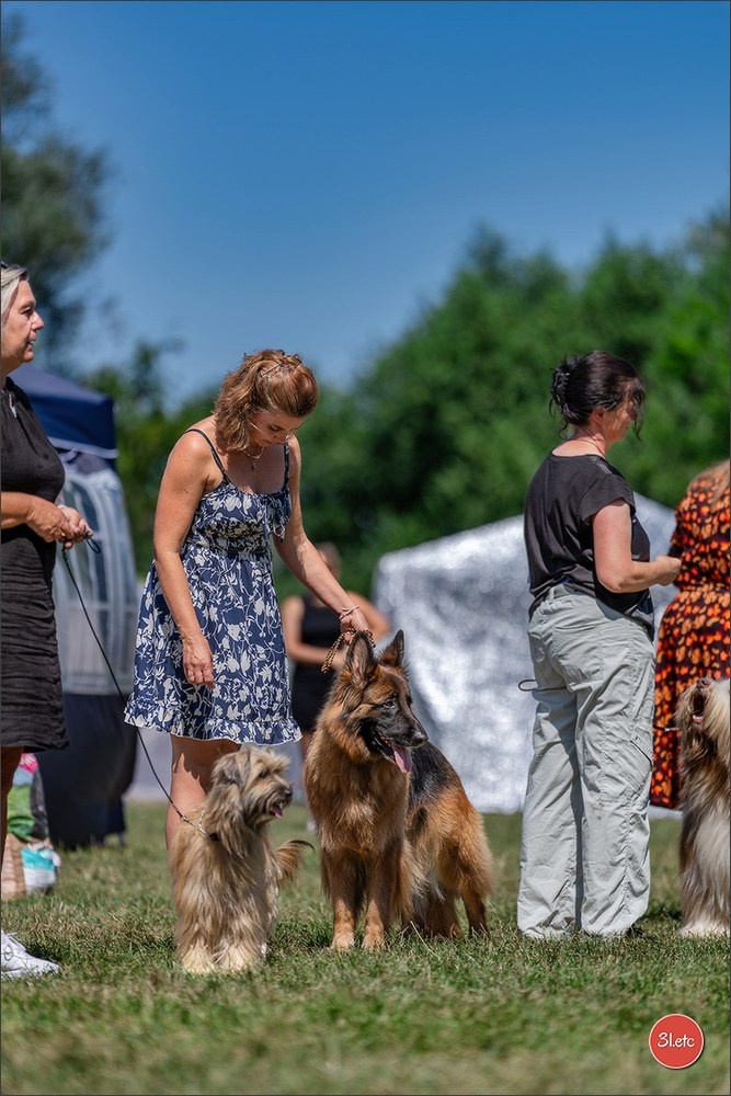 Dog Show - Hallbergmoos 🇩🇪 11-12/07/2026