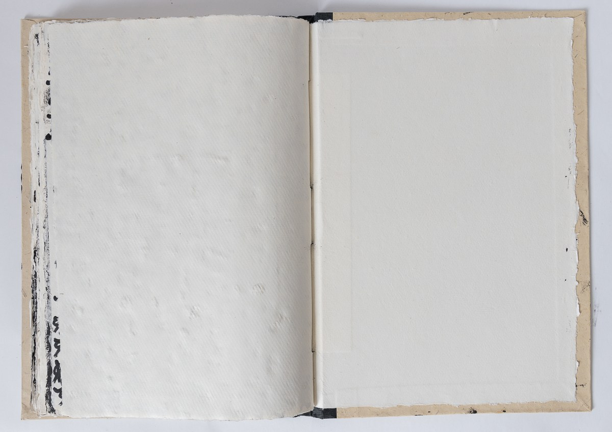 Rebelion, 2018. Haim Sokol’s artists website