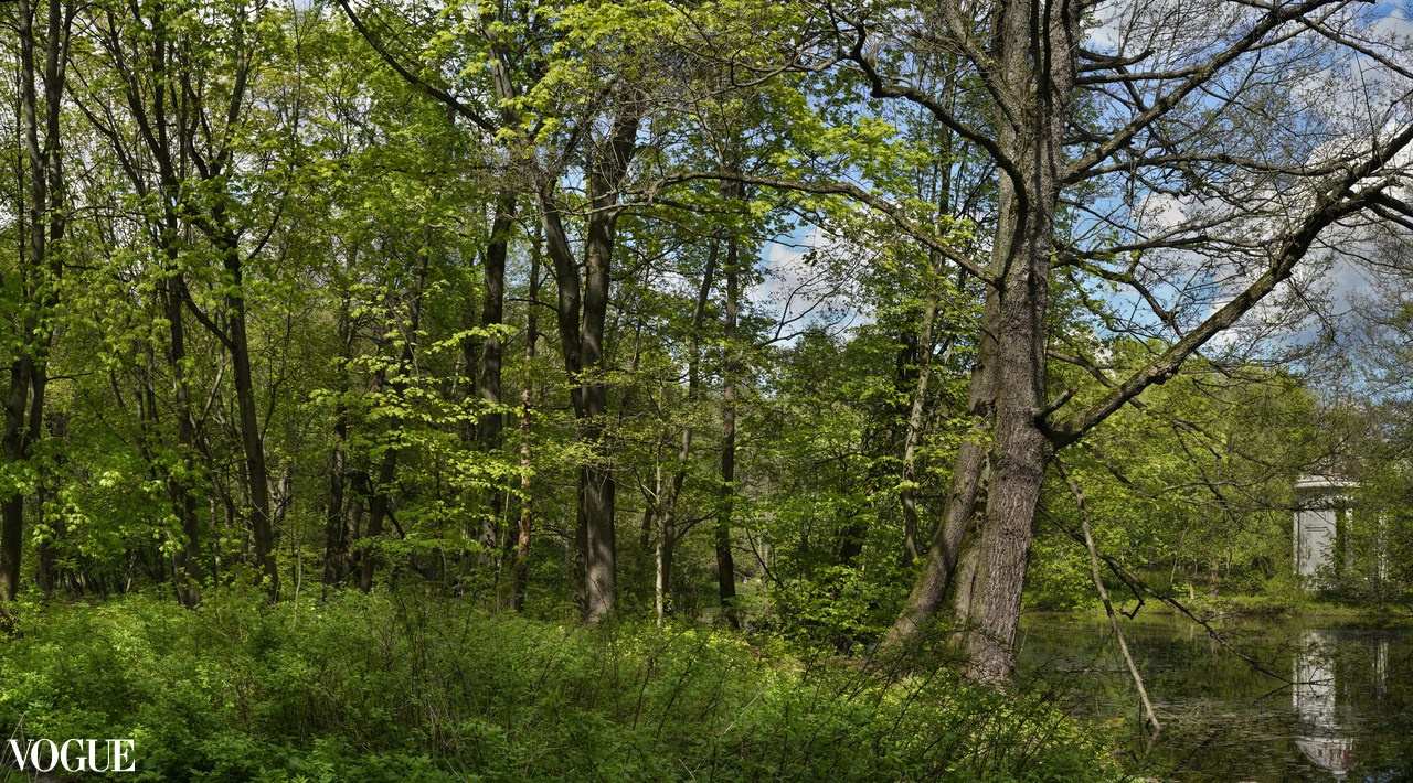 Красота садов и парков. Суть фотографии в стиле изобразительного искусства