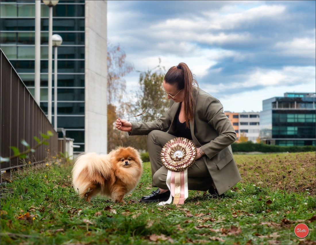 Photographie animalière. Photographe à Strasbourg | Portraits, Studio, Enfants, Événements