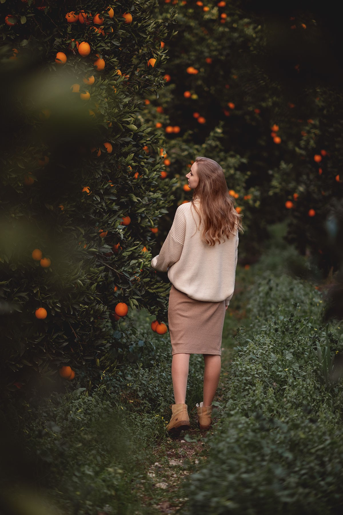 Апельсиновый сад в Анталии. Фотограф Анталия, Кемер, Белек, Сиде Дарья Кая