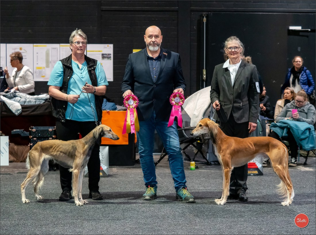 🇩🇪 Offenburg International Dogshow 15-16.03.25 🇩🇪. Photographe à Strasbourg | Portraits, Studio, Enfants, Événements