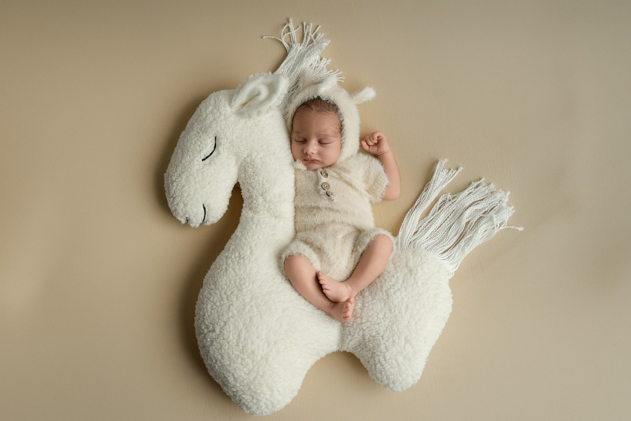 Feedback. Photographer in Paris, shootings in Paris