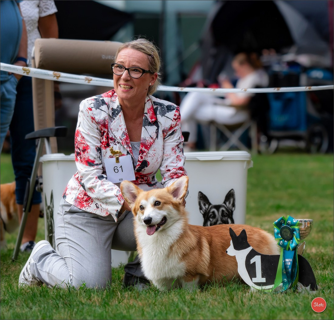 🇫🇷 Romorantin - Exposition Canine Nationale. Photographe à Strasbourg | Portraits, Studio, Enfants, Événements