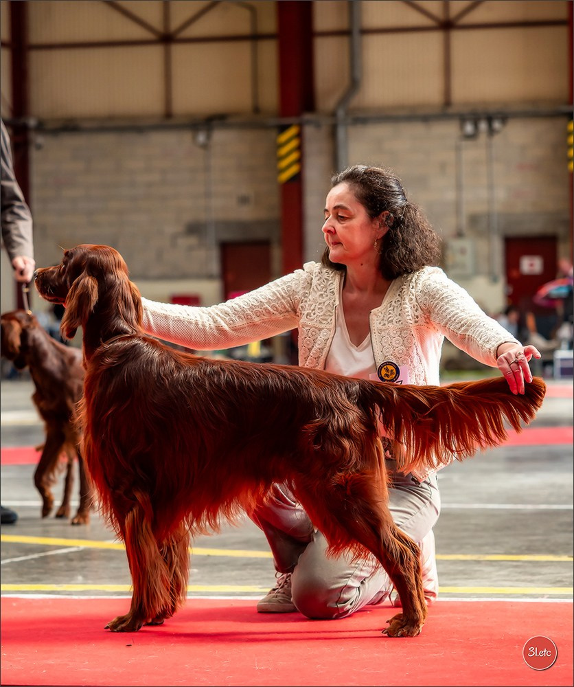 Exposition Canine à  Margny-lès-Compiègne 14-15/09/2024. Photographe à Strasbourg | Portraits, Studio, Enfants, Événements