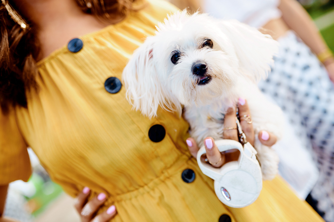 Event. Ruslan Sereduk Photographer