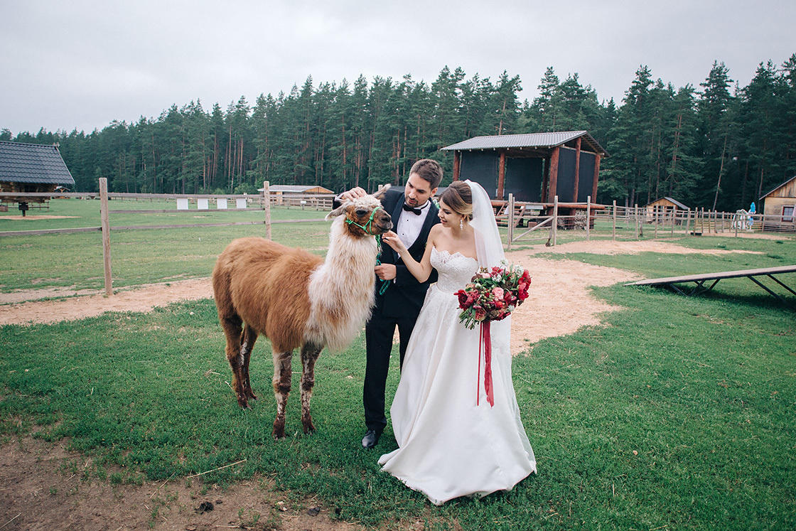 Kāzu fotografēšana Saulkrastos un Rīgā. Kāzu fotogrāfs Rīgā Yury Kor