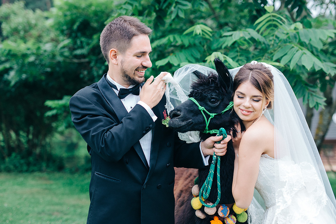 Kāzu fotografēšana Saulkrastos un Rīgā. Kāzu fotogrāfs Rīgā Yury Kor