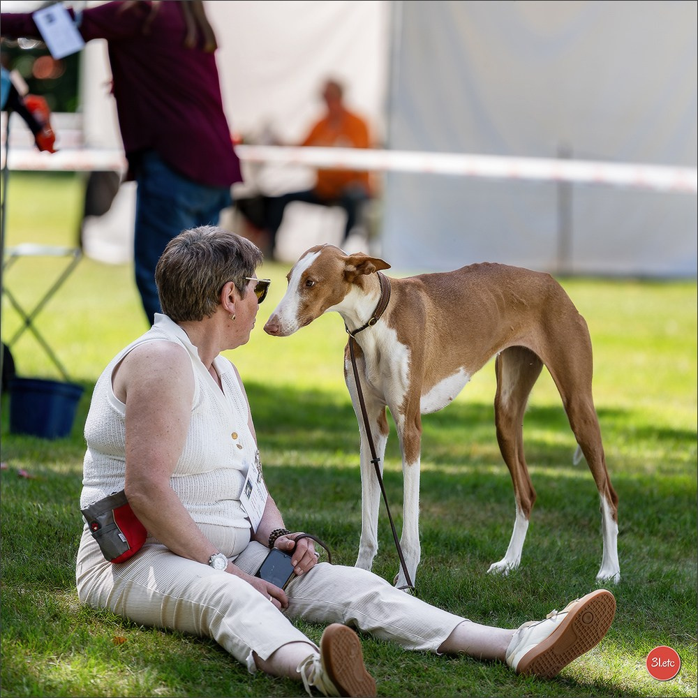 🇫🇷  CHARTRES  🇫🇷  2026  🇫🇷  Exposition Canine Nationale - Château des Boulard