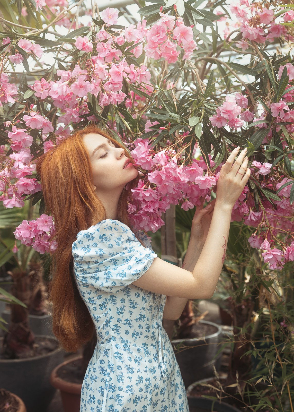 Aesthetic Portraits. The-yan.com