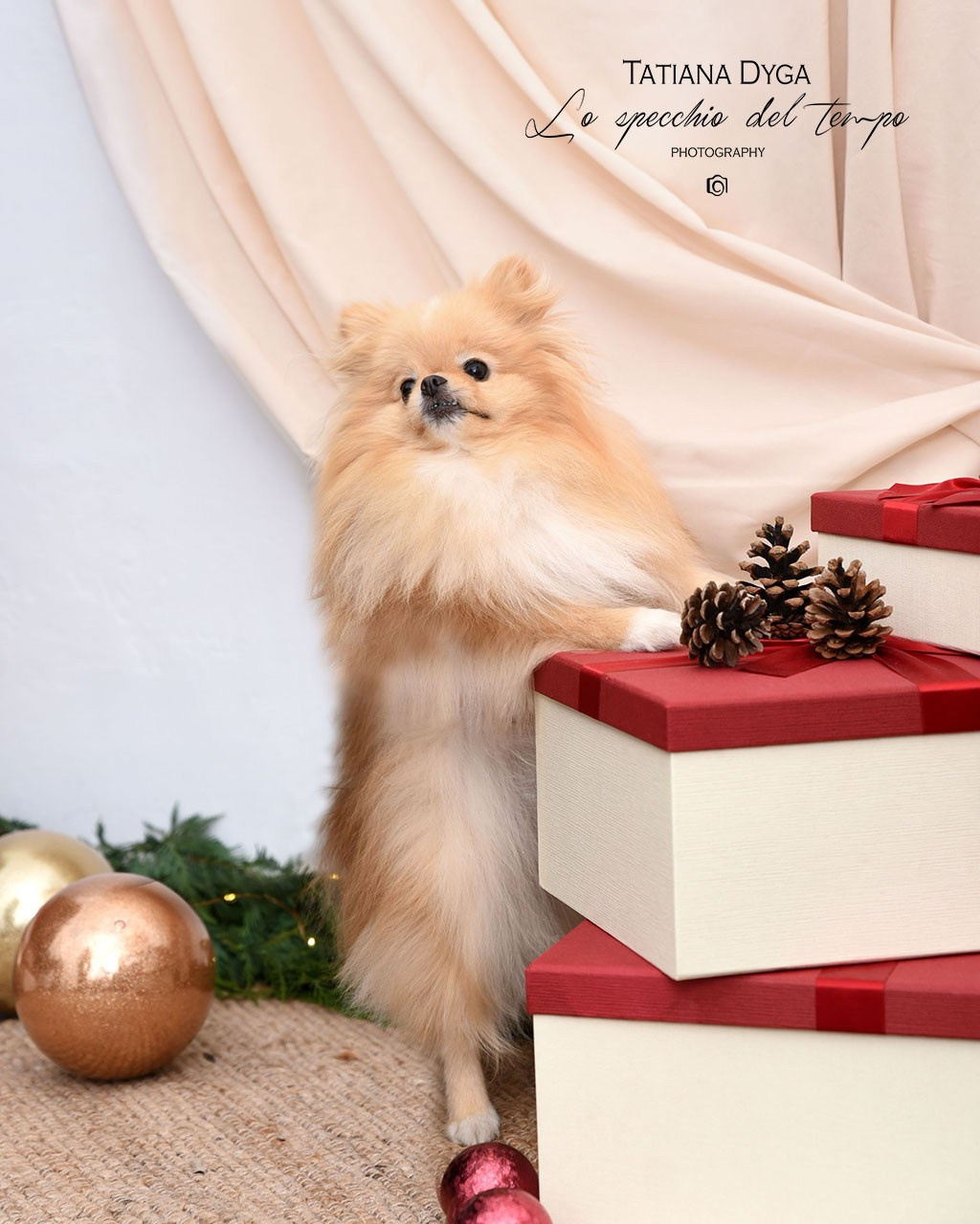 Mini sessioni «Cartolina di Natale». Lo specchio del tempo photography