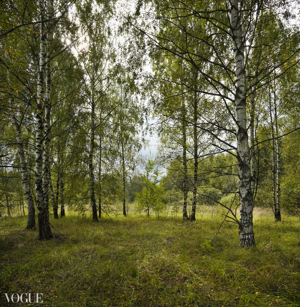 Суть фотографии в стиле изобразительного искусства