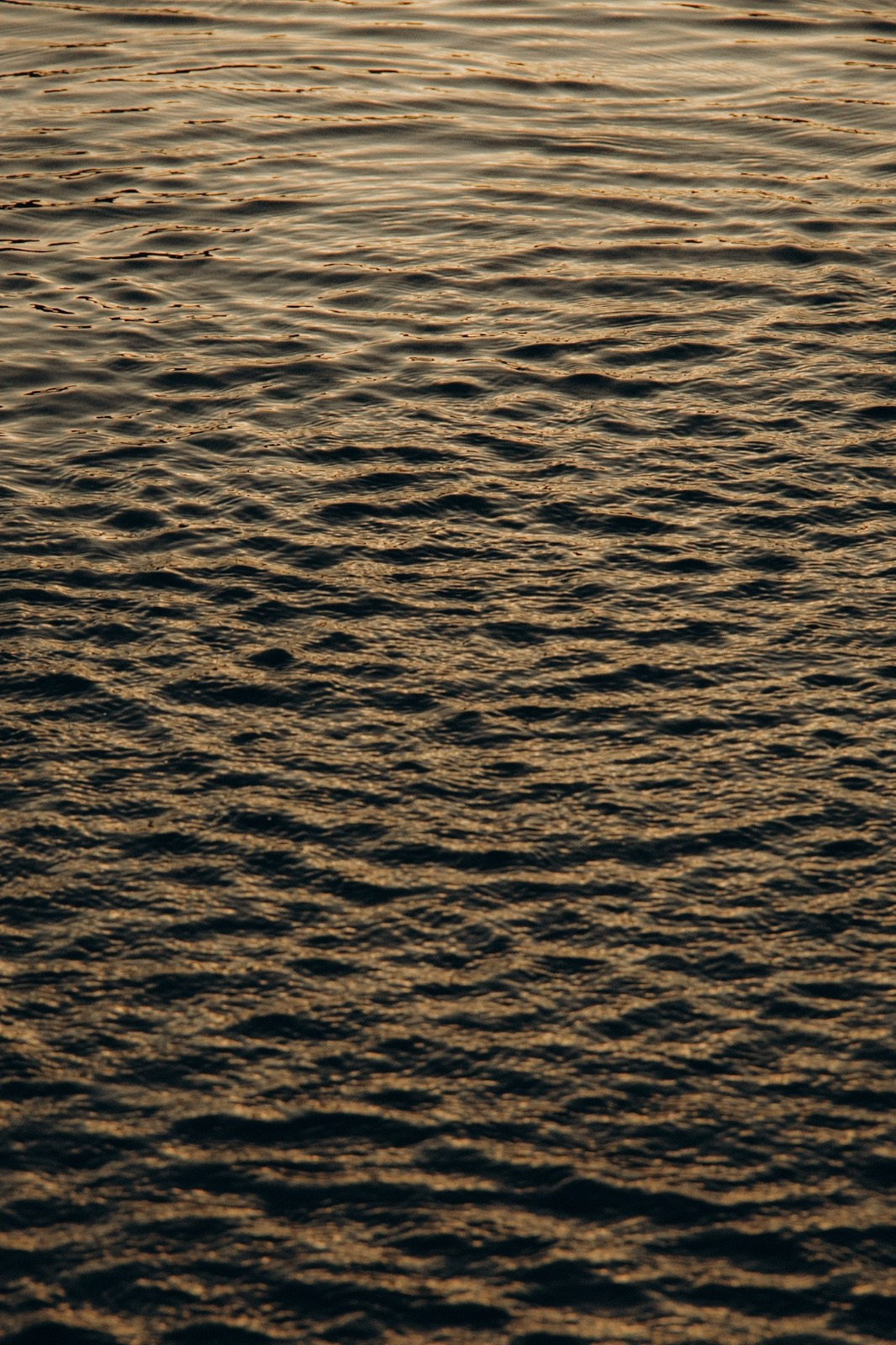 Schwangerschaft. Achtsame Fotografin| Margarita Mayer