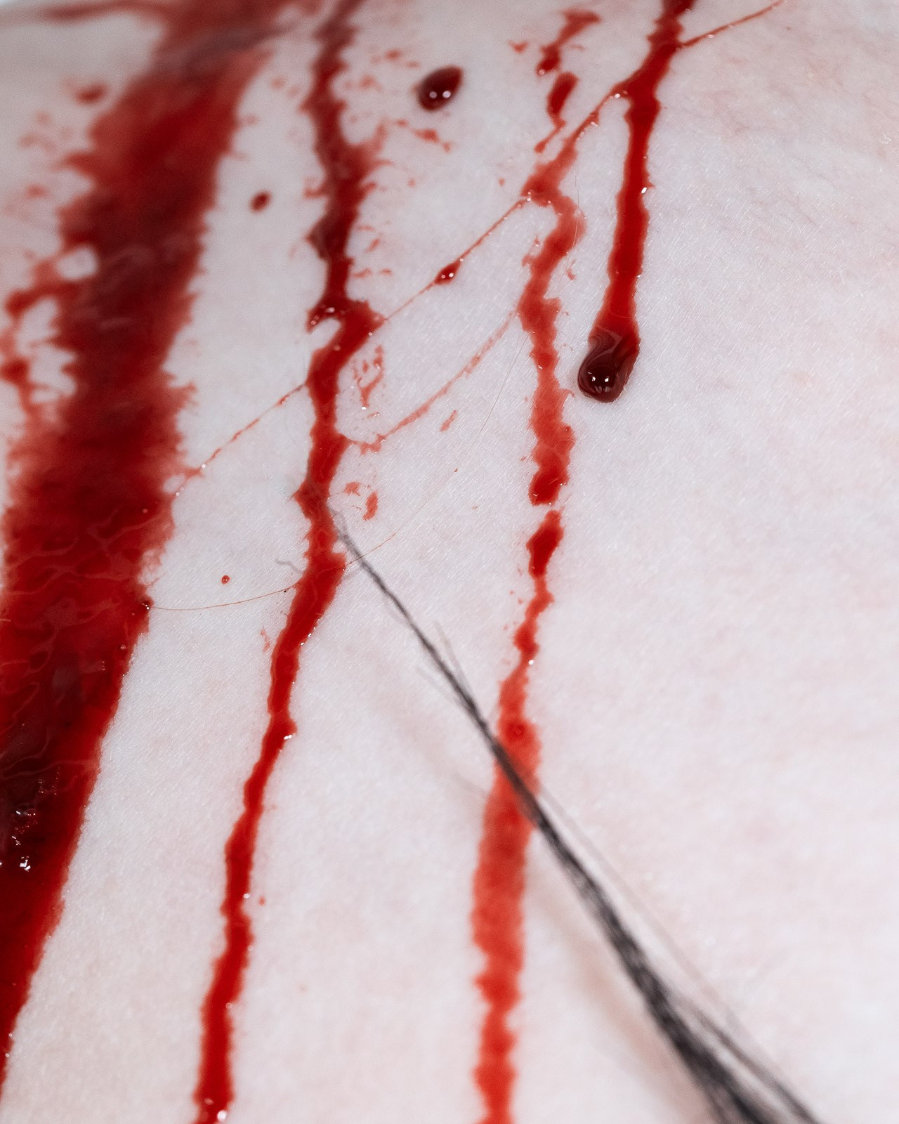 Parasite. The-yan.com