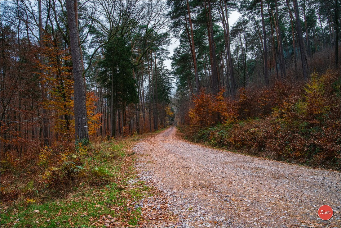 Rocher du Pfaffenlapp. Photographe à Strasbourg | Portraits, Studio, Enfants, Événements