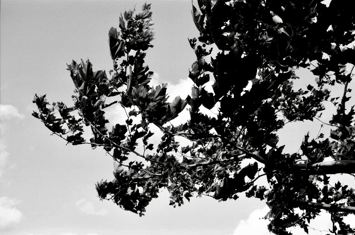 Убийство в Гуадалесте. Жалость отобразительного искусства/Murder in Guadalest. The Pity of Representational Art