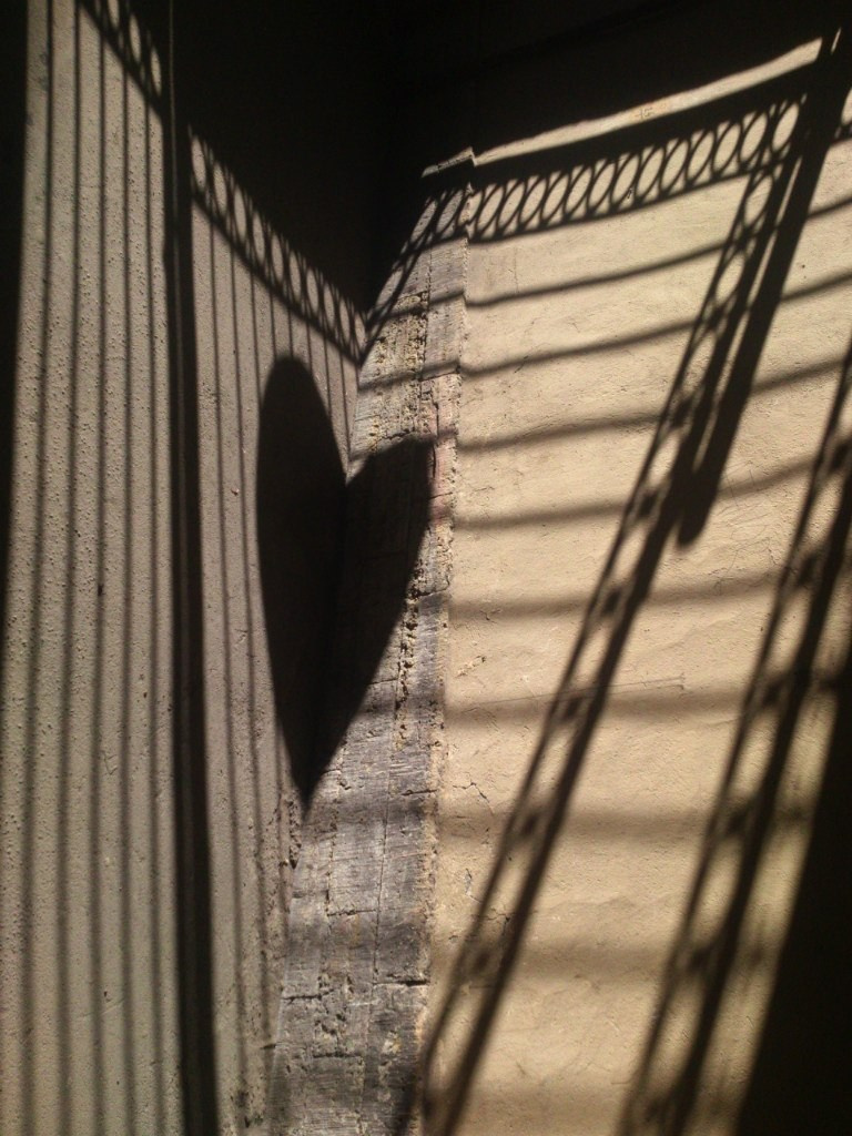 Работы учеников. Фотограф и преподаватель фотографии в Белграде