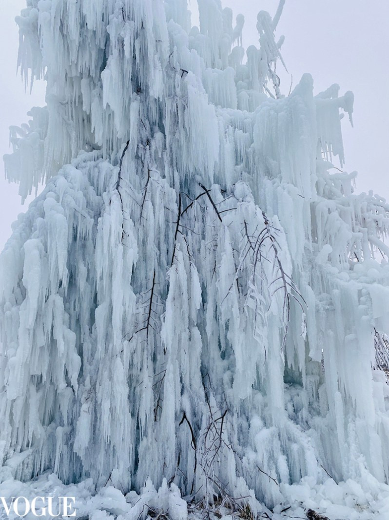 Портретный фотограф Алена Новгородцева