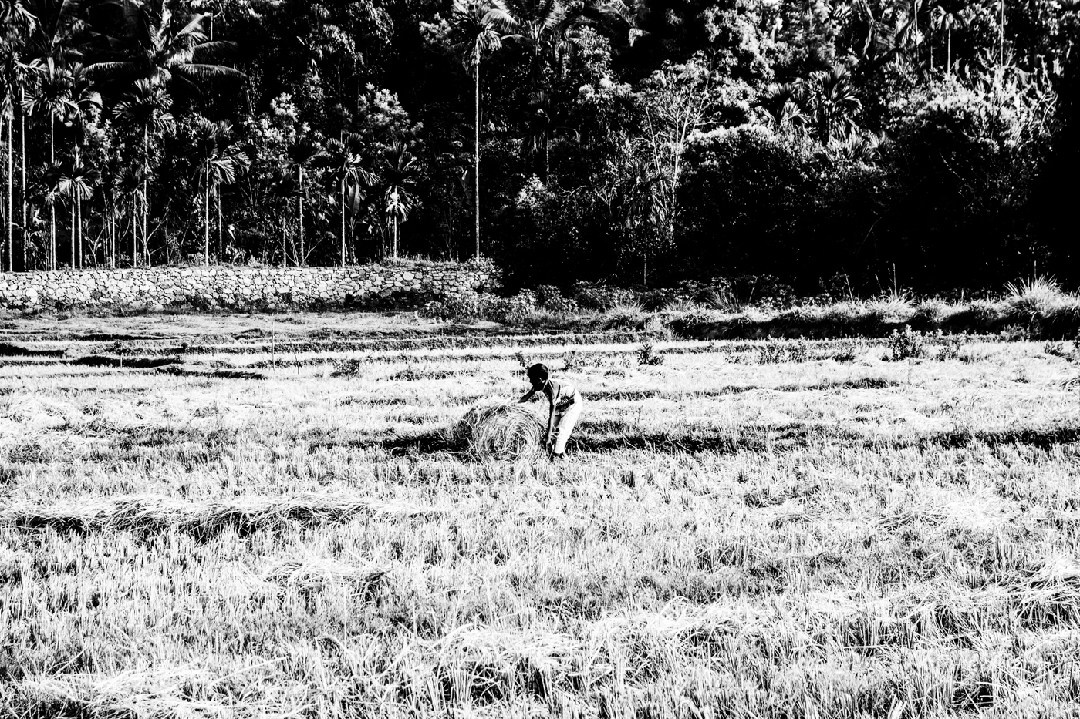 Its a passion to photograph the beauty of life itself. Murat Bostan Photography Documentary, Event and Portrait