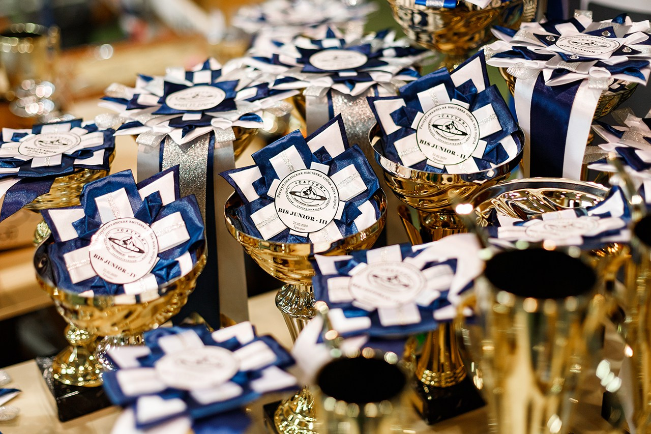 Grodno dog show. Kaja | fotograf we Wrocławiu | ludzie i psy