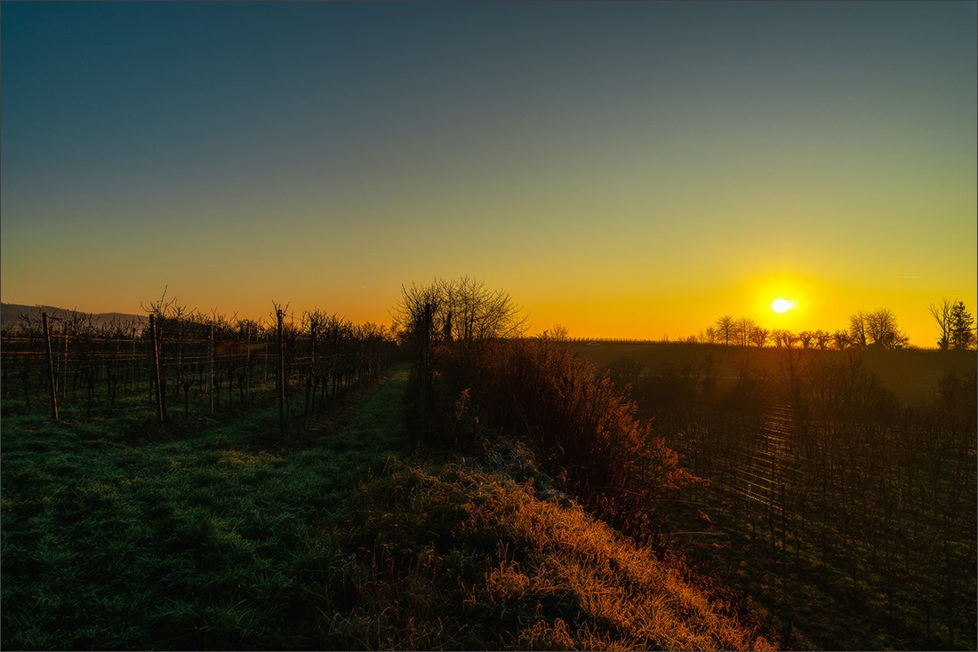 Foggy sunset. Photographe à Strasbourg | Portraits, Studio, Enfants, Événements