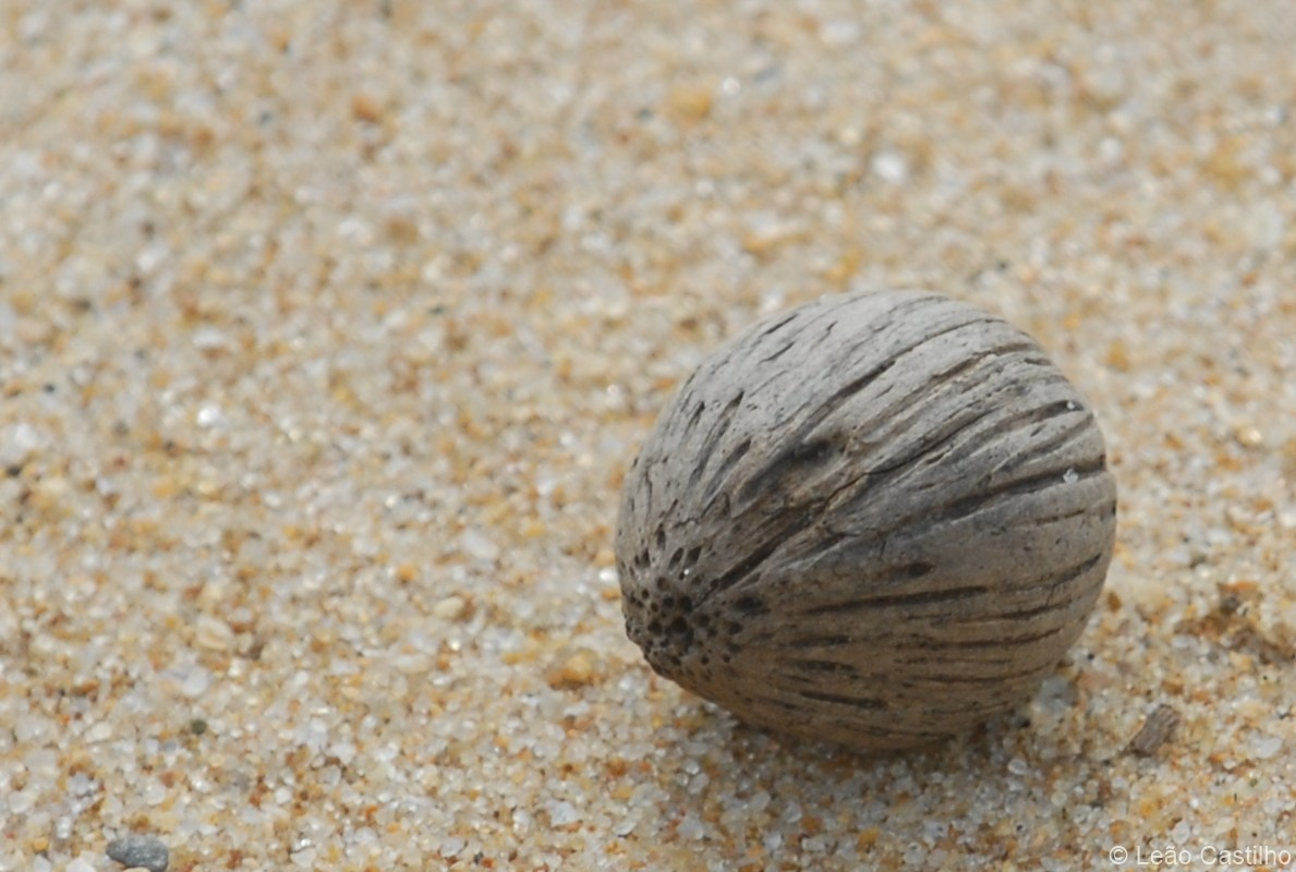 Photos from Angola. Simbahalu