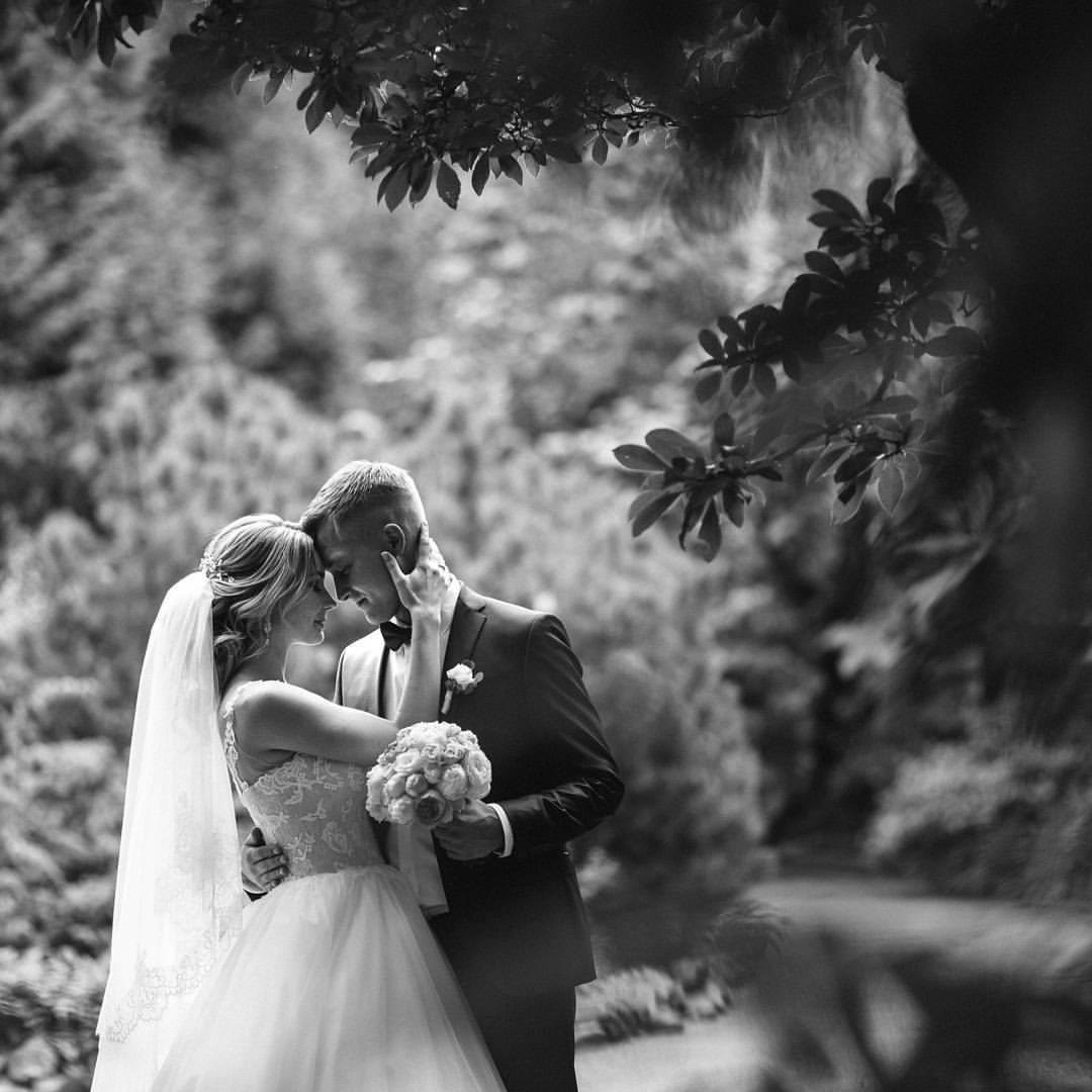 Wedding Photography & Videography Team in California, Los Angeles, San Francisco, San Diego and Travel