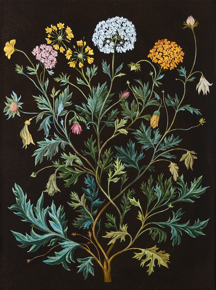 Botanical Etude No. 12. ELEN BEZHEN