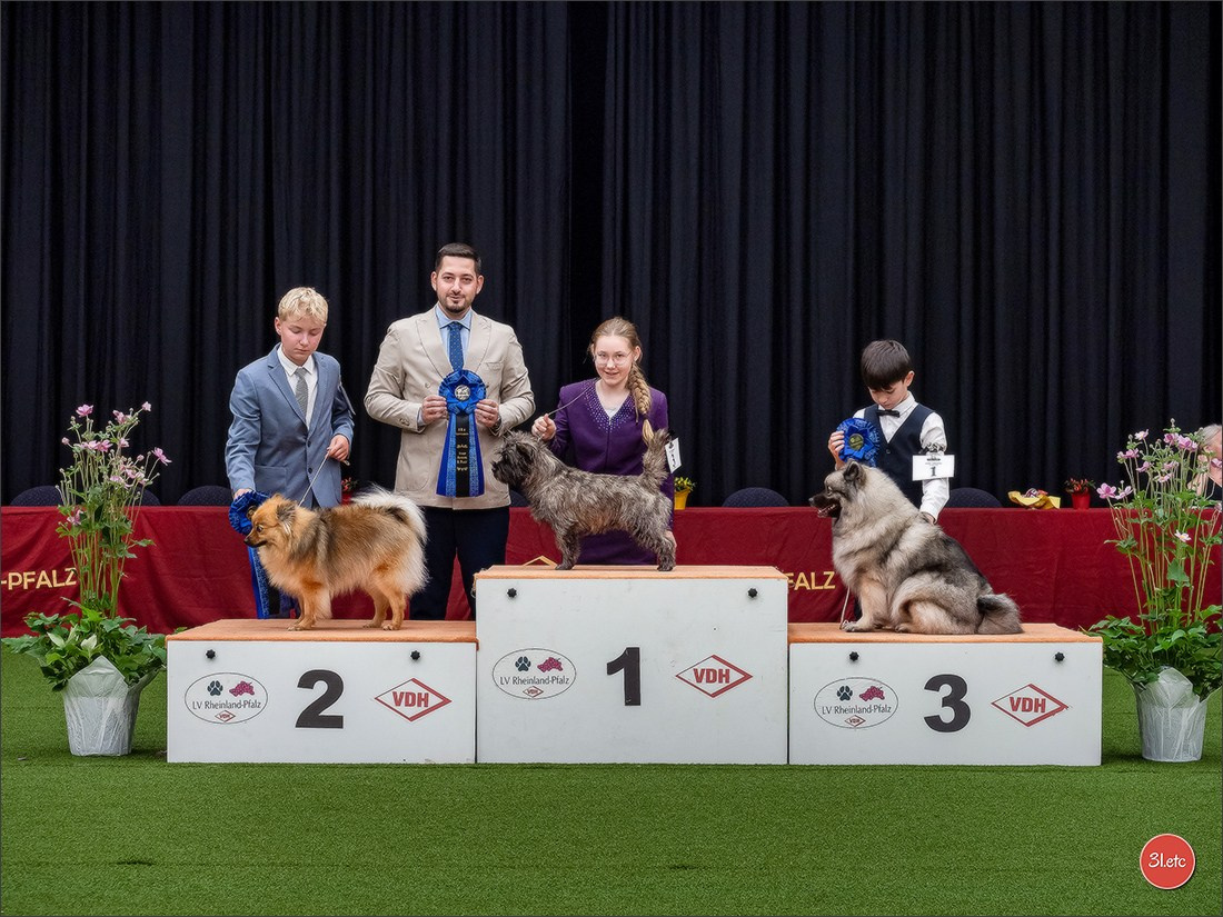 Dog Show Ludwigshafen  🇩🇪  16-17/08/2025. Photographe à Strasbourg | Portraits, Studio, Enfants, Événements