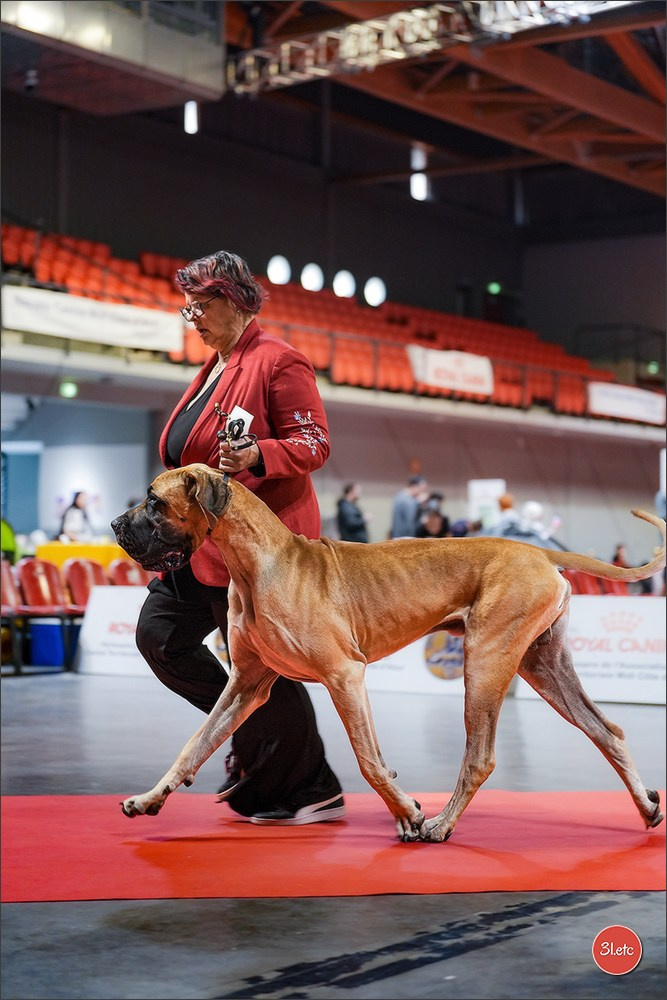 Expo canine 🇫🇷 Martigues 18-19/04/2026