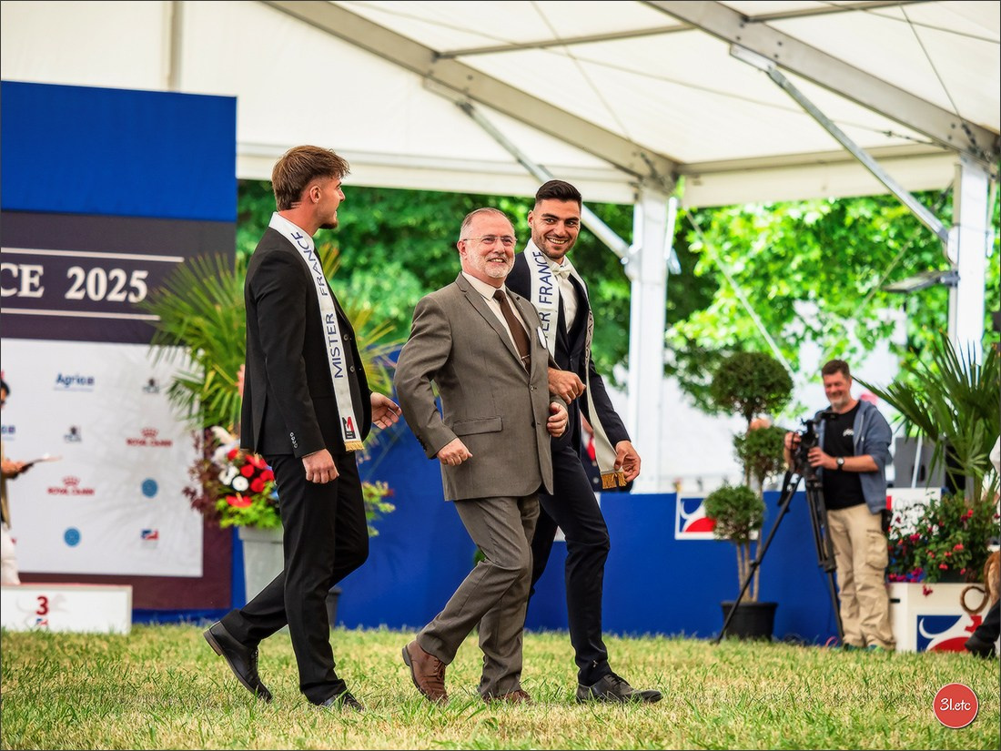 Championnat de France du chien de race  🇫🇷  DIJON (château de Brognon) 7-8/06/2025. Photographe à Strasbourg | Portraits, Studio, Enfants, Événements