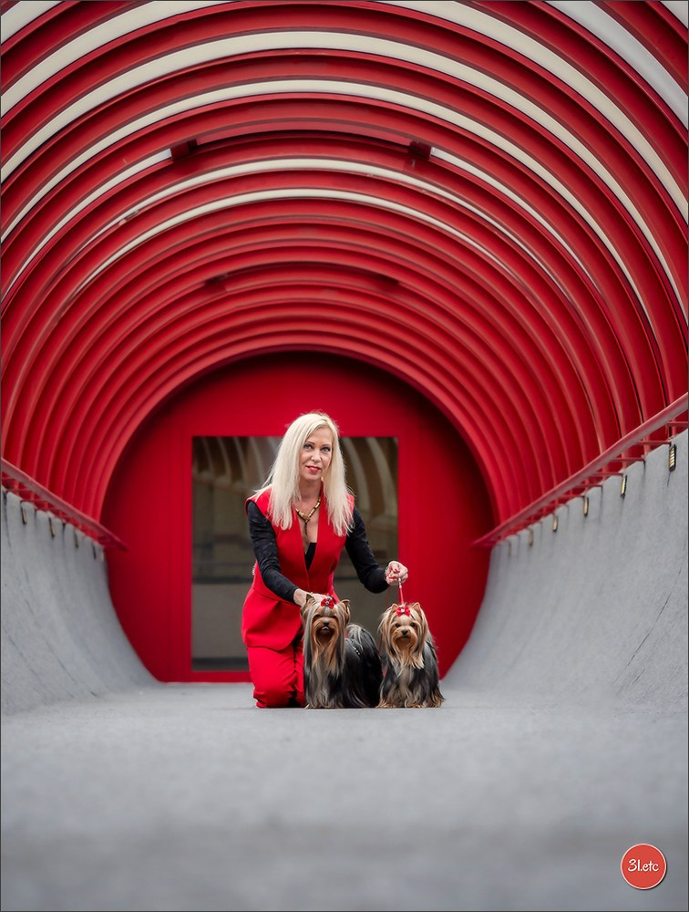 Photographie animalière. Photographe à Strasbourg | Portraits, Studio, Enfants, Événements