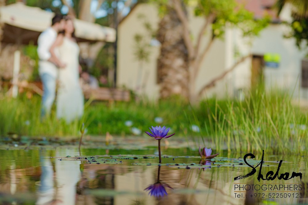 Stella & Elijahu. Wedding and events photographers Studio Shalom