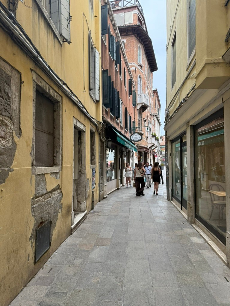 Street. ARTAMIND Photography. Portraits, Family Sessions, Events. Buffalo, NY