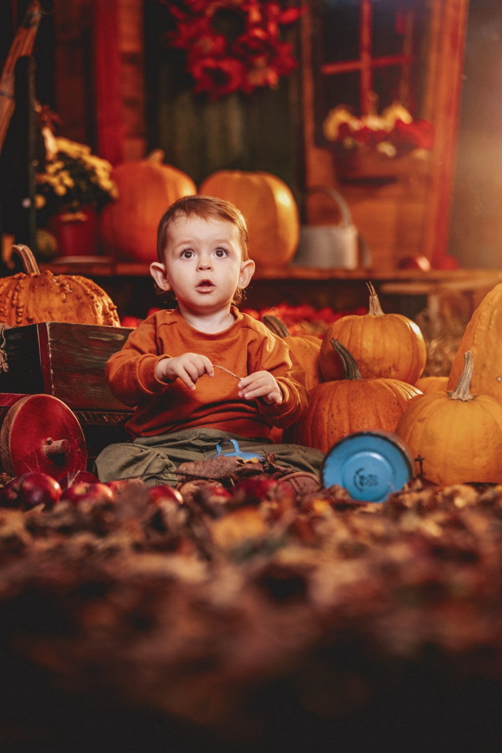 JESENJE FOTOGRAFISANJE. Fotografi iz Backog Petrovca David i Andrea Stojanovic