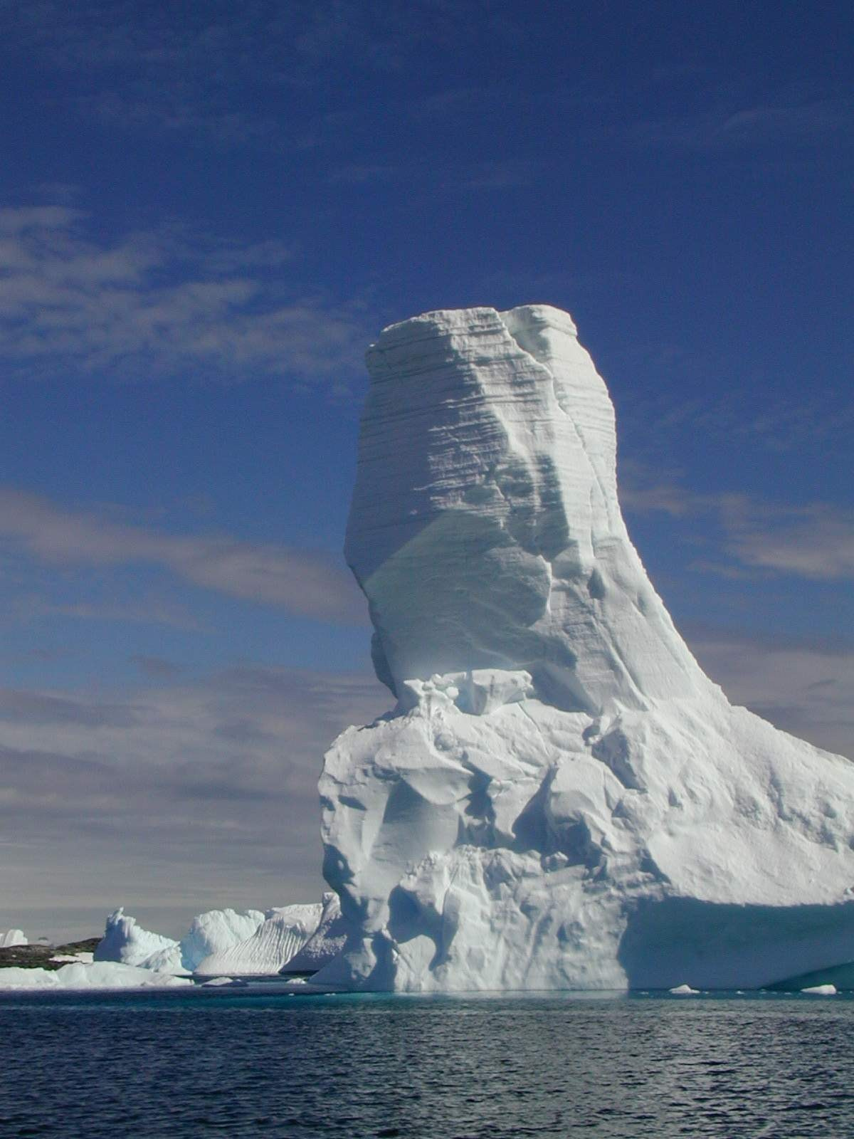 ANTARCTICA. Reportage concert portrait photography in the San Francisco Bay Area