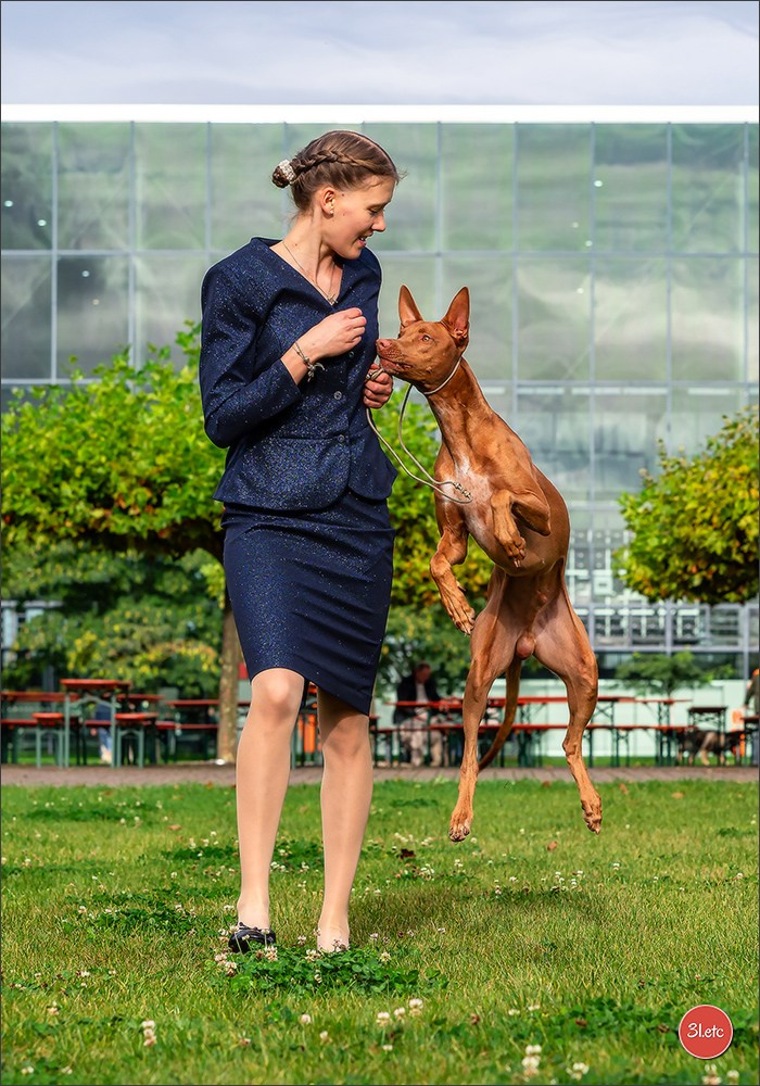 Photographie animalière. Photographe à Strasbourg | Portraits, Studio, Enfants, Événements