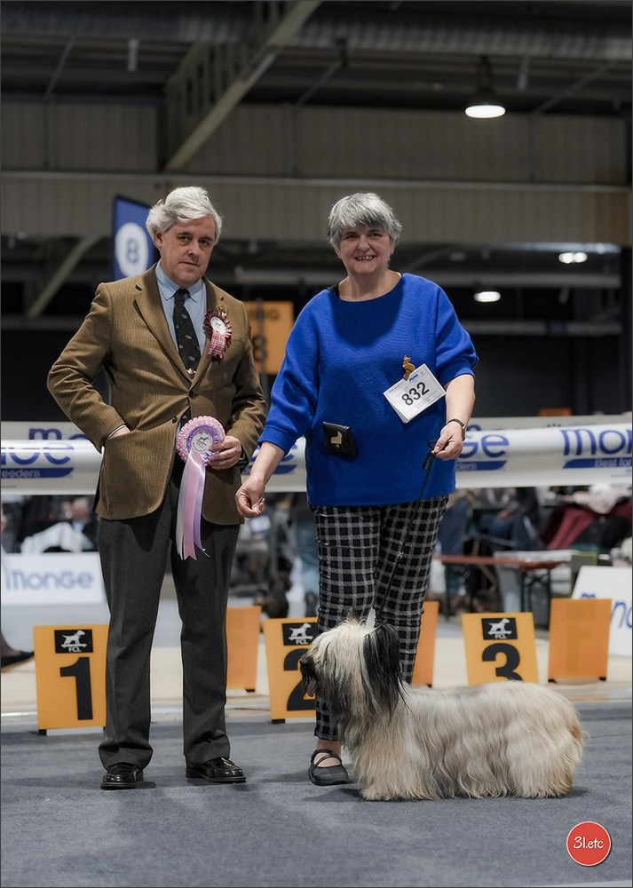🇱🇺 LUXEMBOURG 🇱🇺 International Dog Show 4-5/04/2026. Photographe à Strasbourg | Portraits, Studio, Enfants, Événements
